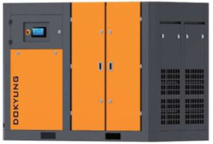 MÁY NÉN KHÍ TRỤC VÍT BIẾN TẦN 2 CẤP DOKYUNG DKT (20-30 BAR)